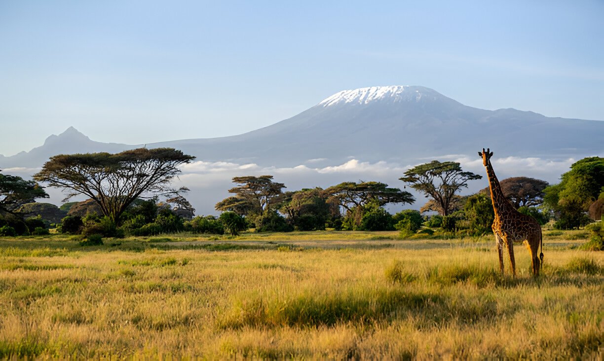 Amboseli National Park