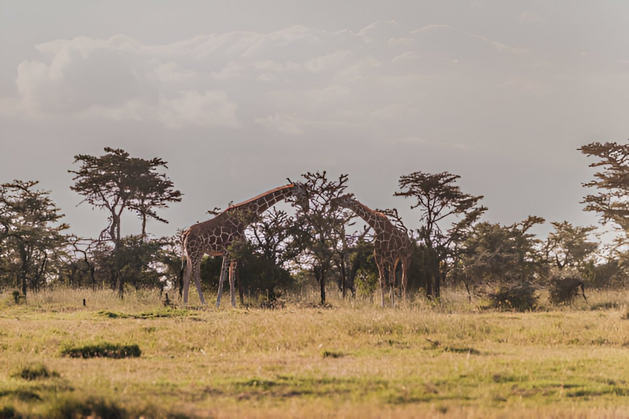 Laikipia Plateau
