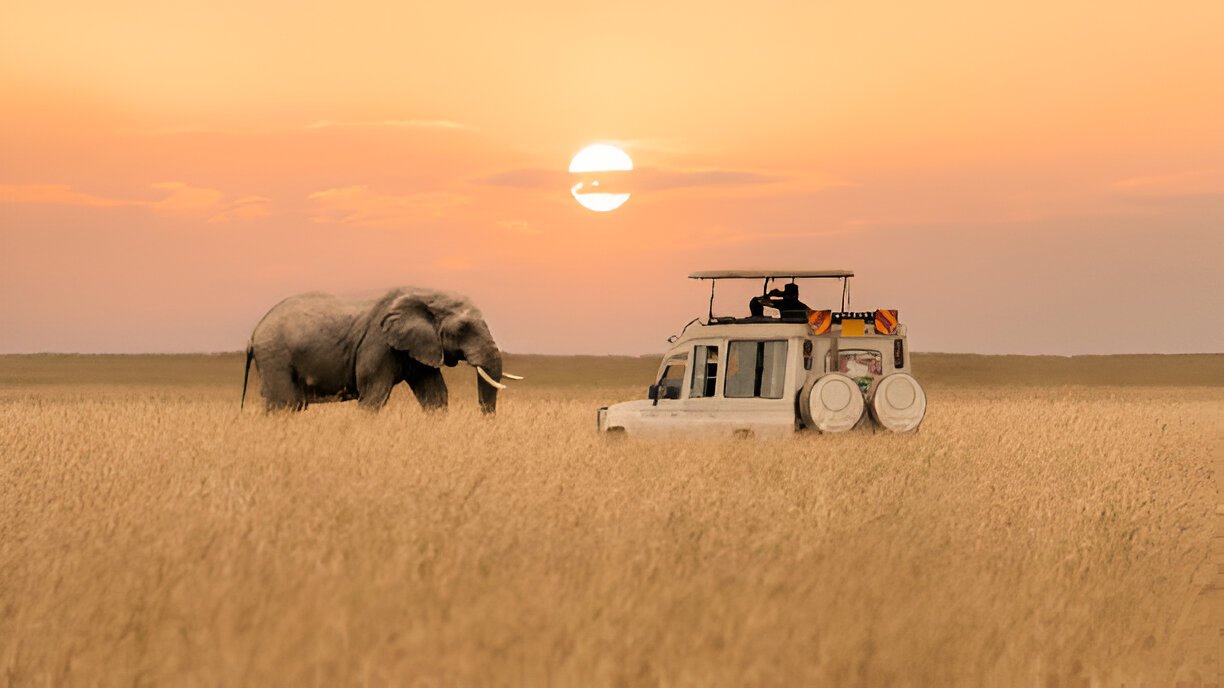 Masai Mara National Reserves