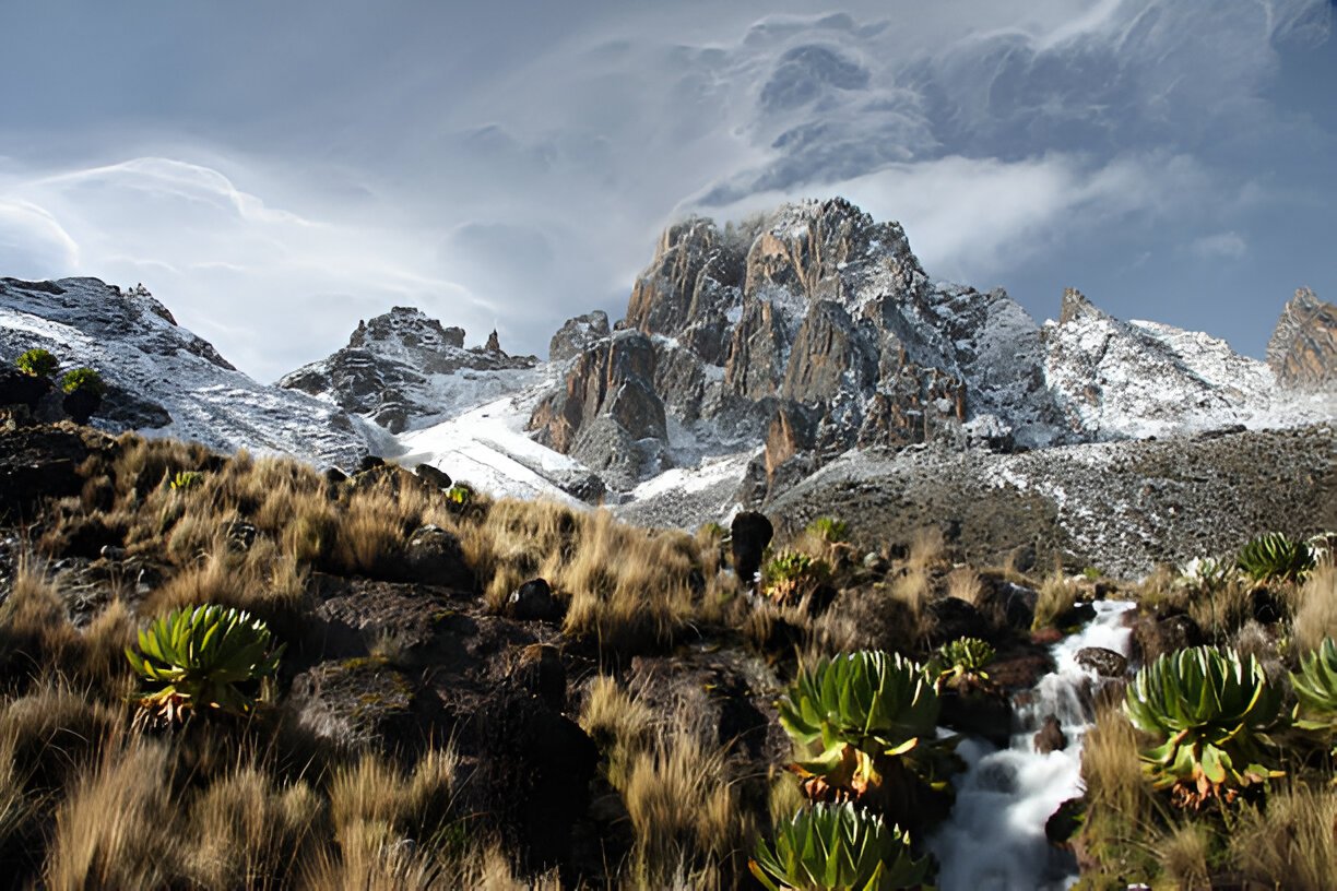 Mount Kenya National Park
