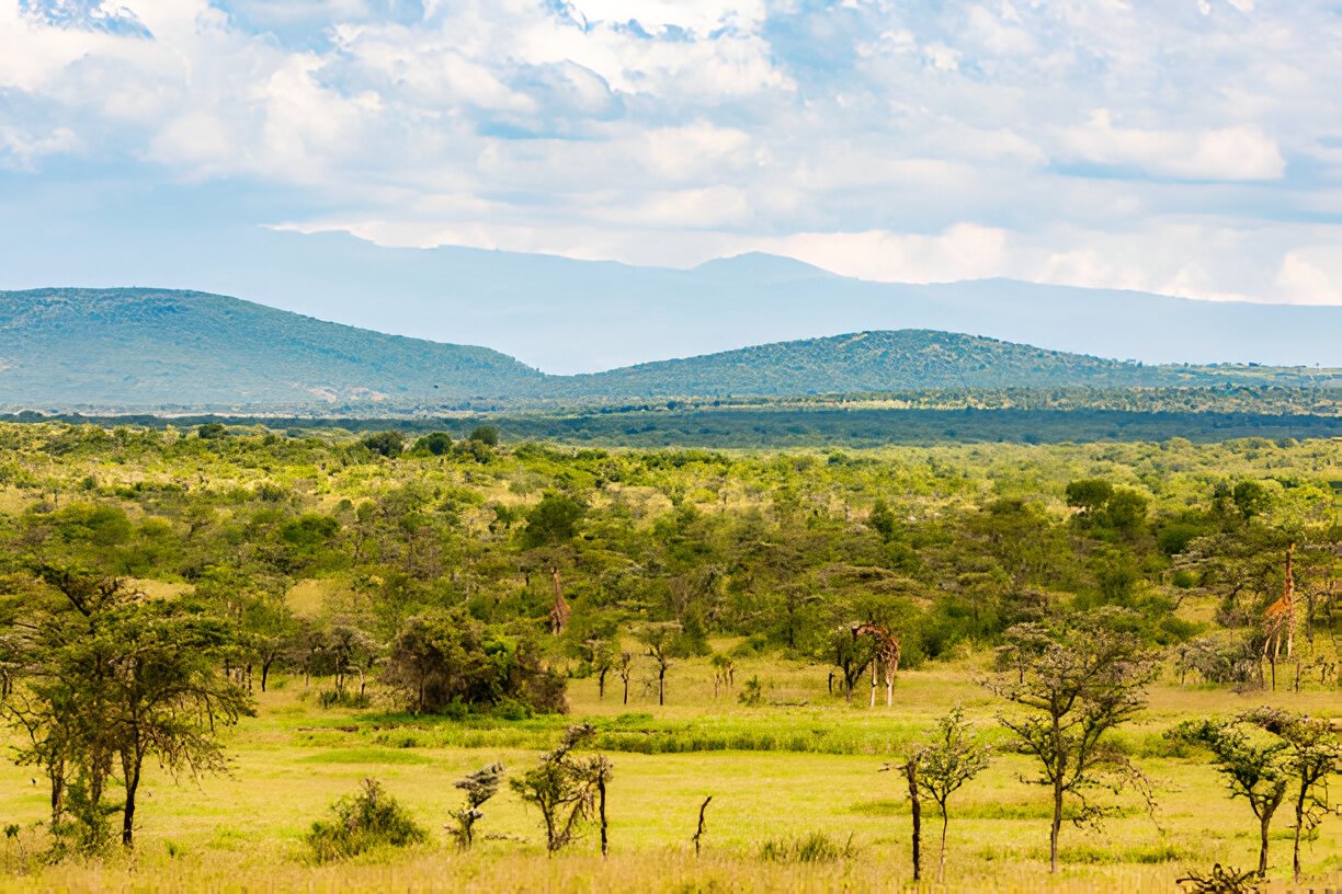 Ol Pejeta Conservancy
