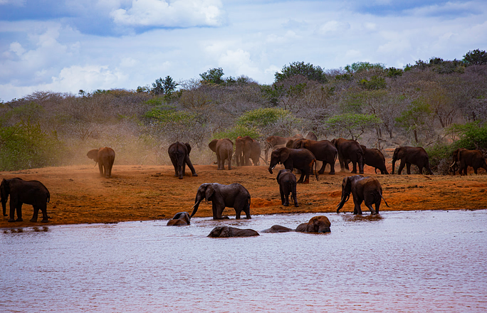 Tsavo East & West National Parks