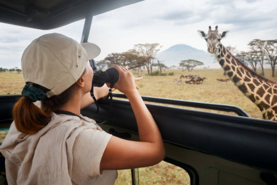 Luxury Kenya Safari