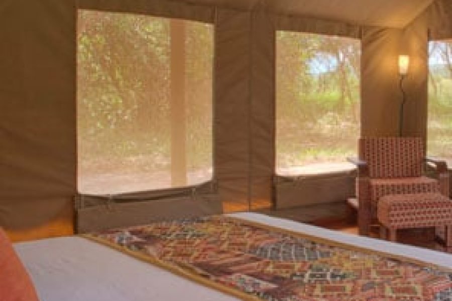 CREDIT: SAROVA MARA GAME CAMP