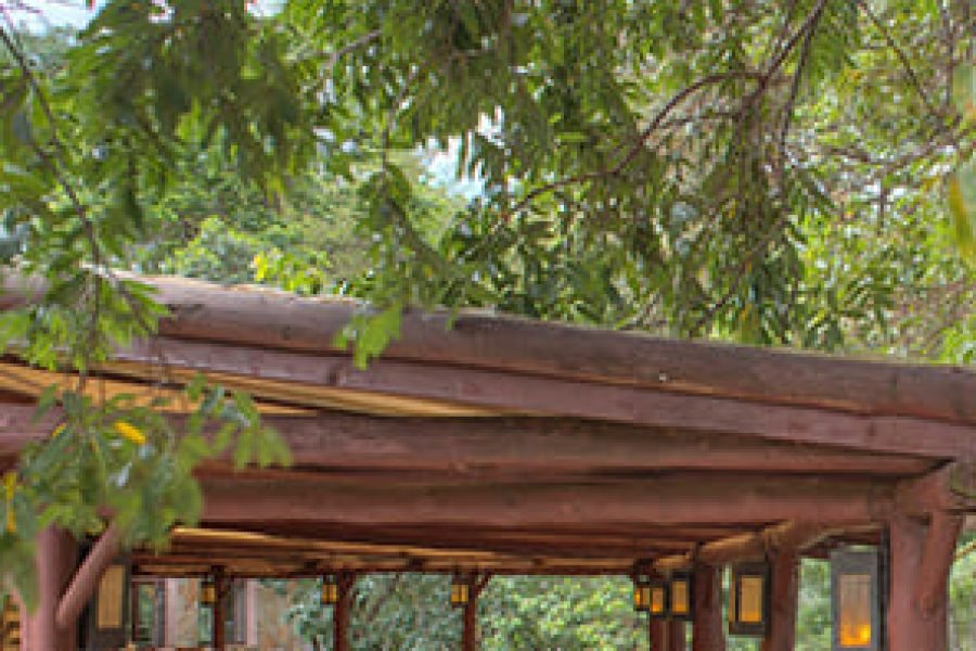 CREDIT: SAROVA MARA GAME CAMP
