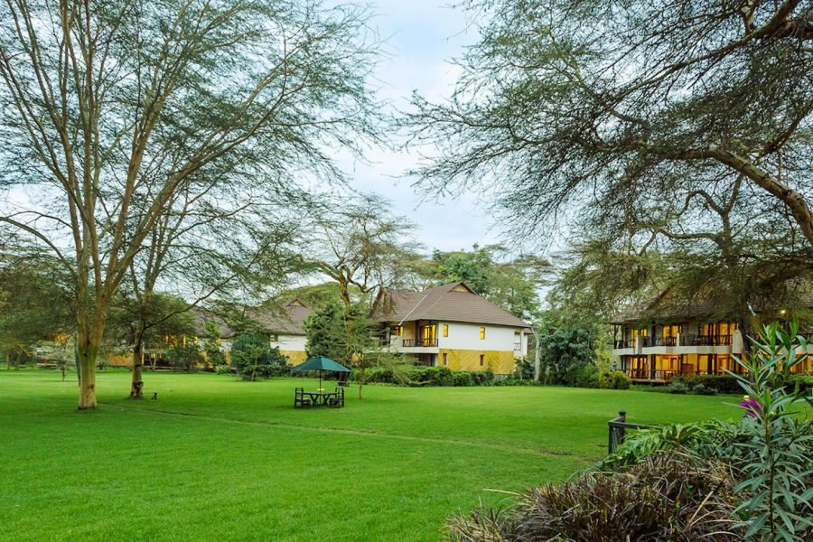CREDIT: SAWELA LODGE