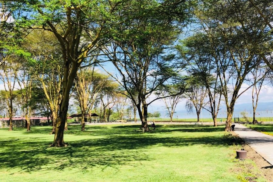 CREDIT: LAKE NAIVASHA RESORT